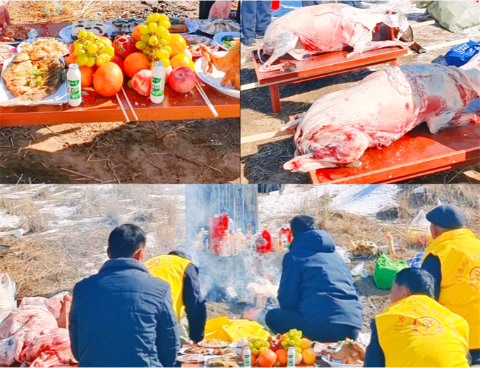 image4.jpeg image4.jpeg